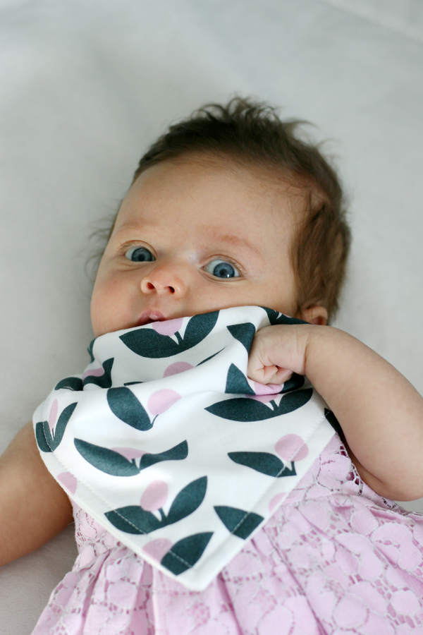 butterfly kisses handmade bandana bibs