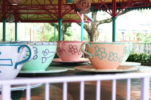teacups-ride-magic-kingdom