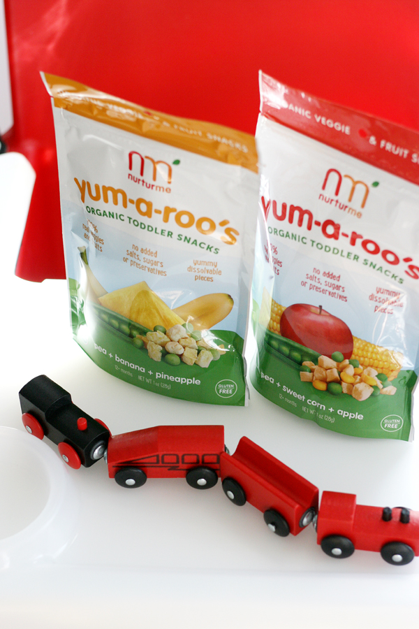 NurturMe Baby Food Goodness